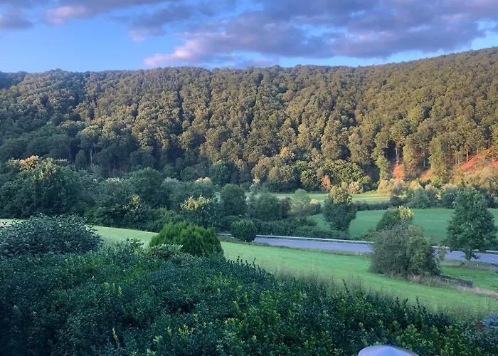 Lea 公寓 巴特卡尔斯哈芬